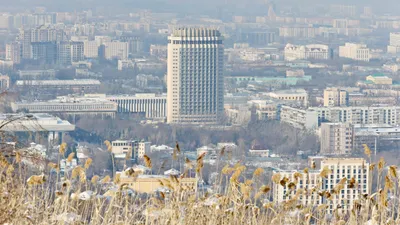 , фото - Новости Zakon.kz от 21.11.2025 17:51