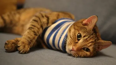 Гороскоп, фото - Новости Zakon.kz от 22.02.2025 07:47