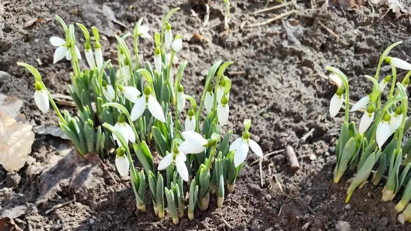 В Алматы потеплеет до +14°C, но следом начнется снегопад
