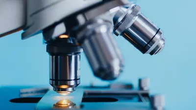 ЭКО, фото - Новости Zakon.kz от 22.02.2025 03:13