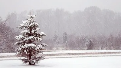штормовое предупреждение, фото - Новости Zakon.kz от 22.02.2025 17:01