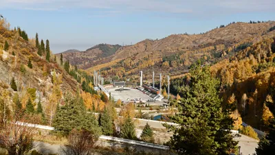 , фото - Новости Zakon.kz от 01.09.2025 11:14