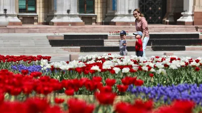 Скандал вокруг киностудии в Алматы, фото - Новости Zakon.kz от 23.04.2026 07:12