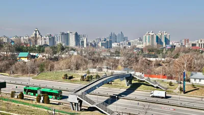 , фото - Новости Zakon.kz от 21.08.2025 11:19