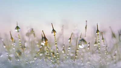 штормовое предупреждение, фото - Новости Zakon.kz от 24.02.2025 20:16