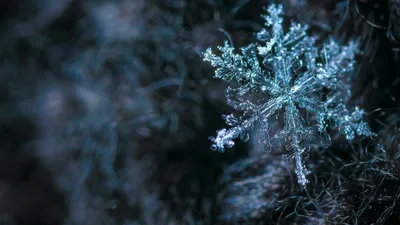 , фото - Новости Zakon.kz от 24.02.2025 18:01