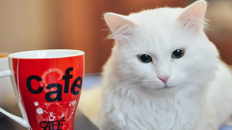 Последний зимний понедельник: гороскоп на 24 февраля