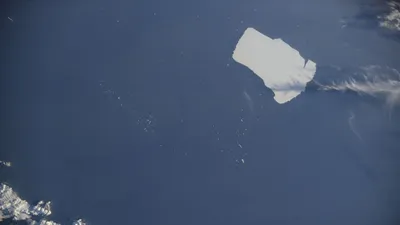 опубликовано фото крупнейшего в мире айсберга, фото - Новости Zakon.kz от 24.02.2025 14:04