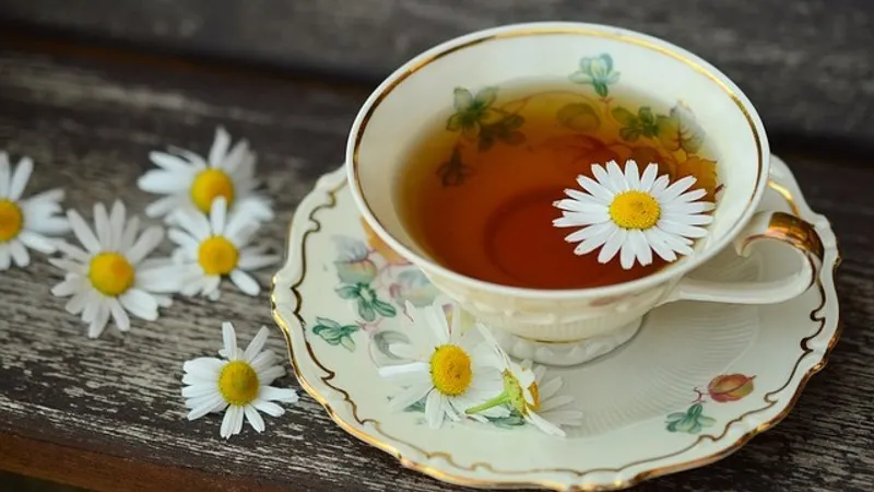 Любителям чая понравится: ученые доказали важную особенность напитка