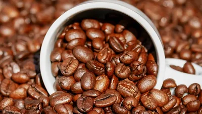 Сокращения в Starbucks, фото - Новости Zakon.kz от 26.02.2025 05:45