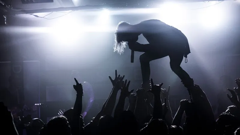 Запретить использование фонограммы на концертах предлагает депутат