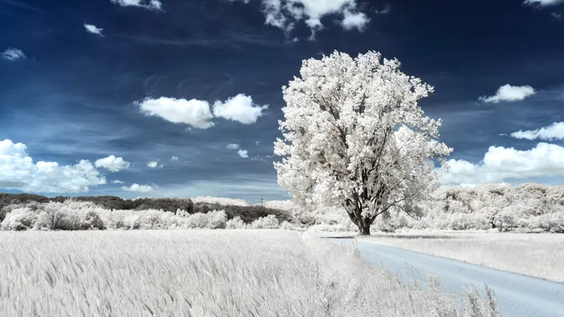 Снег окутает Казахстан 27 февраля