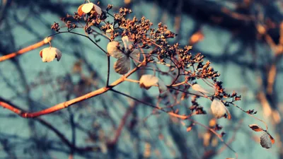 Суровая весна: о погоде на 1-3 марта в Астане, Алматы и Шымкенте, фото - Новости Zakon.kz от 28.02.2025 16:01