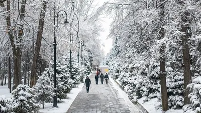 Алматы глазами известного фотографа в последний день зимы, фото - Новости Zakon.kz от 01.03.2025 11:24
