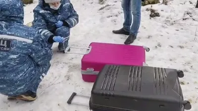 чемодан с частями тела нашли в Санкт-Петербурге, фото - Новости Zakon.kz от 01.03.2025 23:12