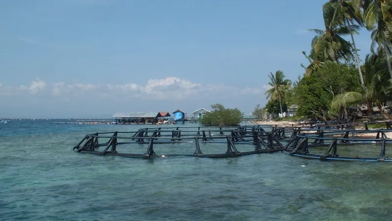 Ощутимое землетрясение произошло в Индонезии