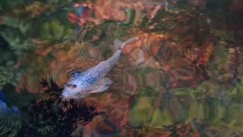 Гороскоп на неделю с 3 по 9 марта