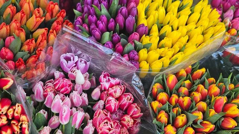Готовимся к 8 Марта: сколько стоят цветы в Алматы