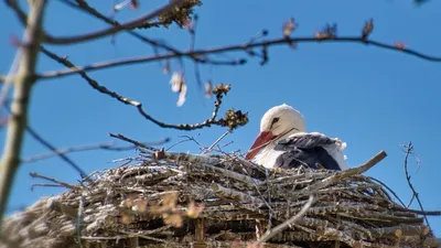 Гороскоп на 6 марта, фото - Новости Zakon.kz от 06.03.2025 06:50