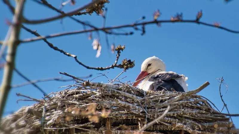 Гороскоп на 6 марта: большую роль сыграют случайности