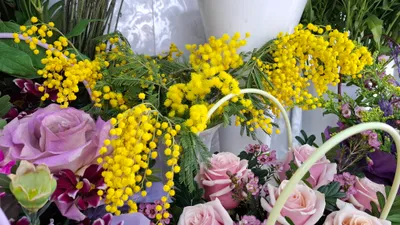 Весна, 8 марта, женщины, Костанай, Усть-Каменогорск, Атырау, фото - Новости Zakon.kz от 07.03.2025 09:34