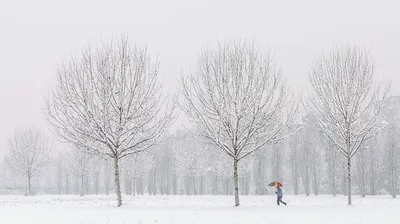 штормовое предупреждение объявили в Казахстане, фото - Новости Zakon.kz от 06.03.2025 20:14
