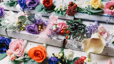 Китай ворвался в топ-3 крупнейших поставщиков цветов в Казахстан, фото - Новости Zakon.kz от 06.03.2025 11:39