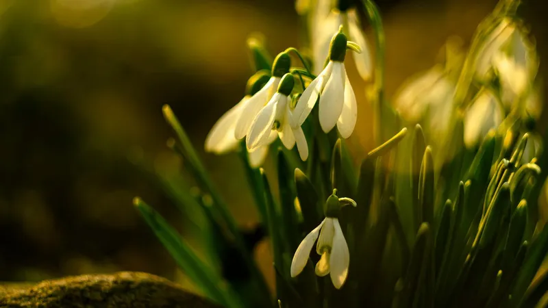 Астропрогноз для всех знаков зодиака на 7 марта