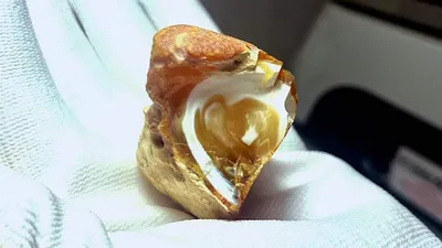 янтарь, камни, минералы, Калининград, фото - Новости Zakon.kz от 08.03.2025 15:53