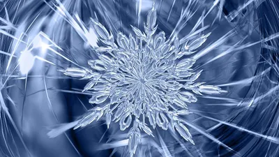 снежинки, фотограф, Доценко, 8 марта, поздравления , фото - Новости Zakon.kz от 09.03.2025 00:17