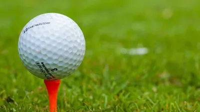 ️Вандалы атаковали гольф-клуб Дональда Трампа в Шотландии, фото - Новости Zakon.kz от 10.03.2025 03:18