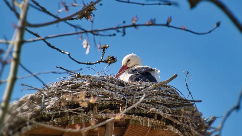Весенний астропрогноз на 11 марта