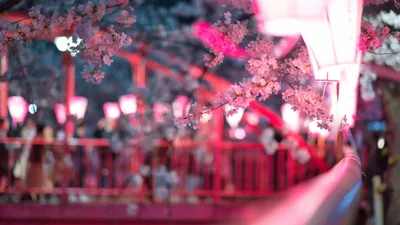 Неописуемые пейзажи развернулись в Китае: весь мир наблюдает, фото - Новости Zakon.kz от 10.03.2025 13:49