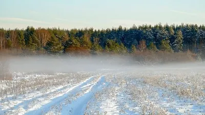 штормовое предупреждение объявили на большей части РК, фото - Новости Zakon.kz от 12.03.2025 20:01