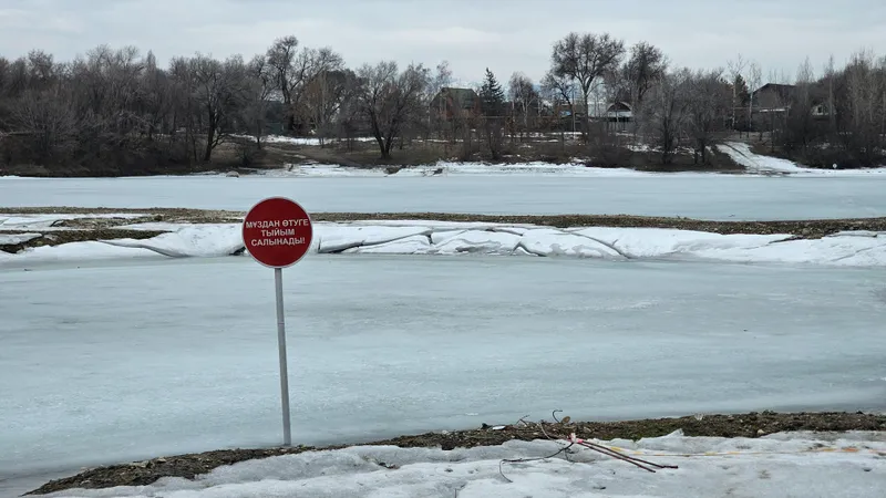 Аэропортовское озеро, фото - Новости Zakon.kz от 17.03.2025 16:33