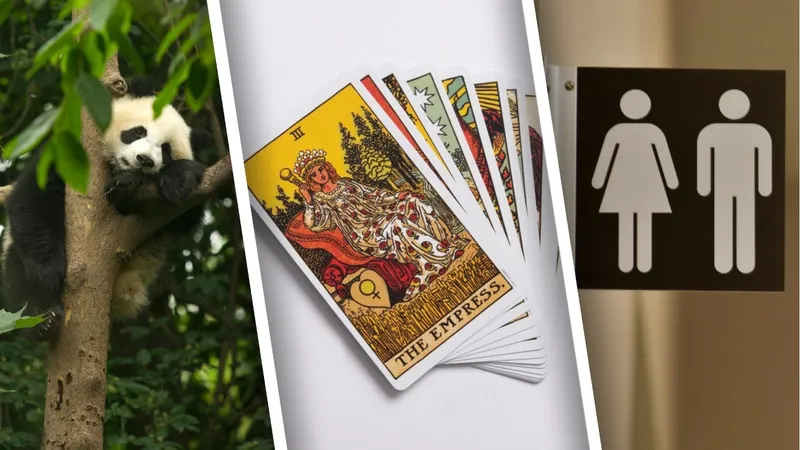 Няня для панд, таролог и туалетный гид: самые необычные вакансии в Казахстане и в мире