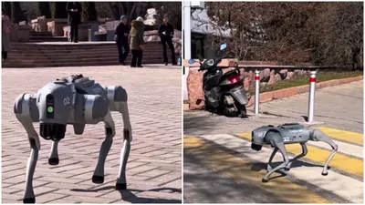 Алматы, робот-собака, жители, фото - Новости Zakon.kz от 14.03.2025 12:15