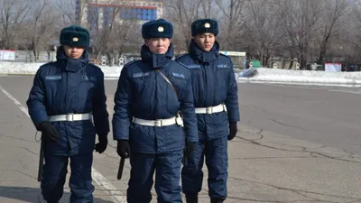 Буллинг, солдаты, Нацгвардия, подростки, драки, нападение, фото - Новости Zakon.kz от 14.03.2025 11:17