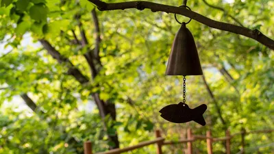 Природа, ветер, рыбка, фото - Новости Zakon.kz от 15.03.2025 05:20