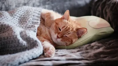 совет психолога, фото - Новости Zakon.kz от 15.03.2025 00:42