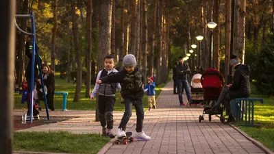 , фото - Новости Zakon.kz от 03.07.2025 11:24