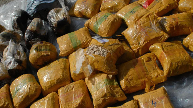 Около 49 тонн наркотиков изъяла полиция Казахстана в 2025 году