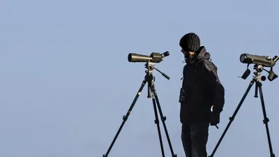 телескоп, астрономия, космос, фото - Новости Zakon.kz от 16.03.2025 16:59