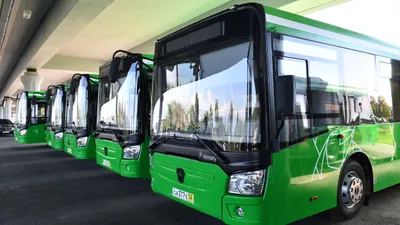 Общественный транспорт в Алматы, автобусы в Алматы