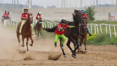 Кони, скачки, спорт, наездники, фото - Новости Zakon.kz от 19.03.2025 02:59
