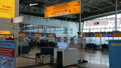 , фото - Новости Zakon.kz от 02.07.2025 13:04