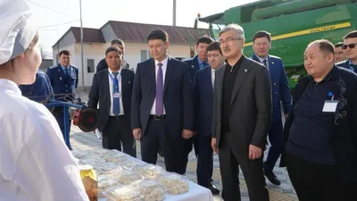 Прокуратура, трудоустройство, преступления, образование, фото - Новости Zakon.kz от 05.04.2025 13:06