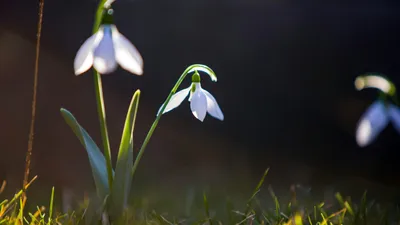 , фото - Новости Zakon.kz от 18.03.2025 18:09