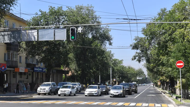 Изменения в ПДД и регистрации госномеров: приказ МВД