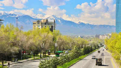 Машина, машины, авто, автомобиль, автомобили, дорога, дороги, транспортное движение, дорожное движение, дорожный трафик, фото - Новости Zakon.kz от 03.10.2025 18:08